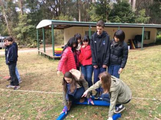 紫野高等学校