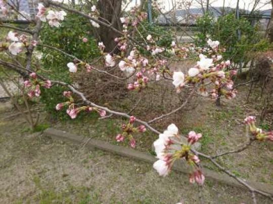 銅駝美術工芸高等学校