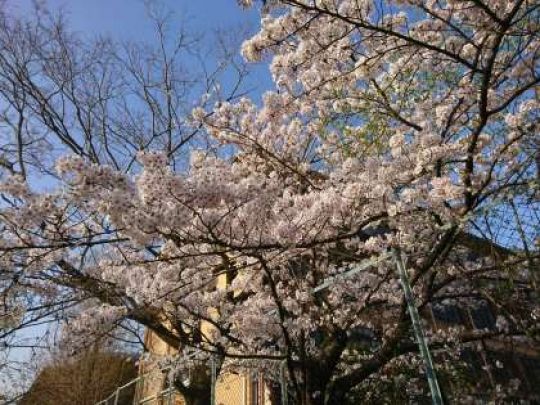 銅駝美術工芸高等学校