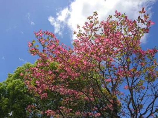 銅駝美術工芸高等学校