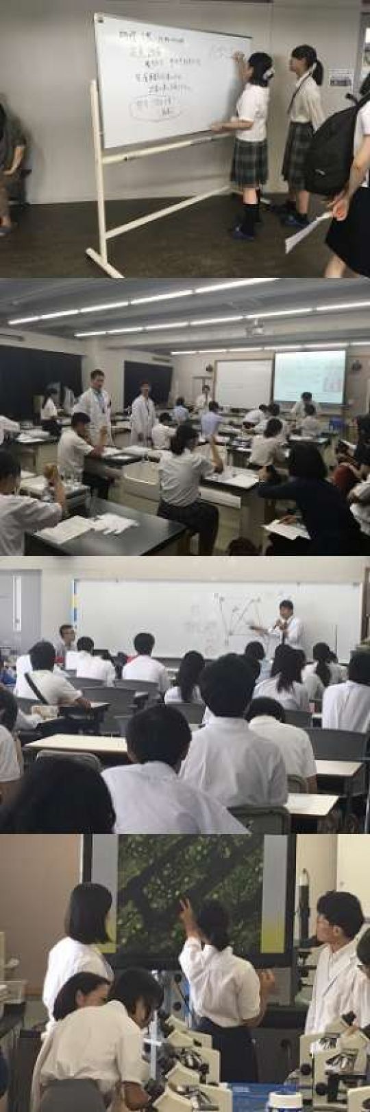 西京高等学校