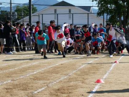 紫野高等学校