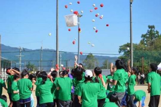 紫野高等学校