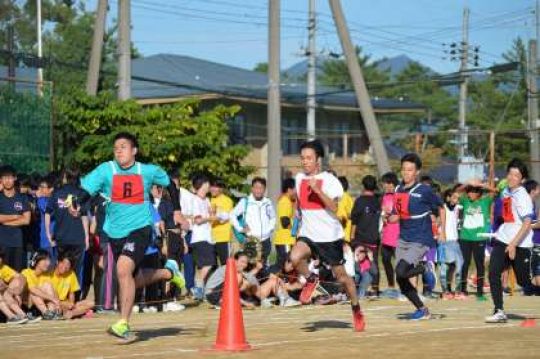 紫野高等学校