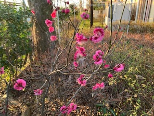 銅駝美術工芸高等学校