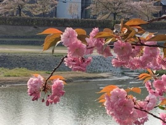 銅駝美術工芸高等学校