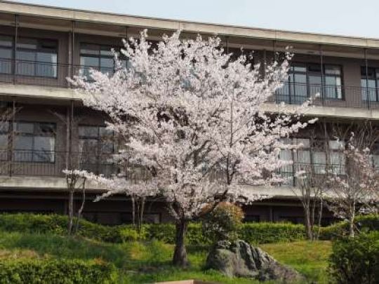 京都工学院高等学校