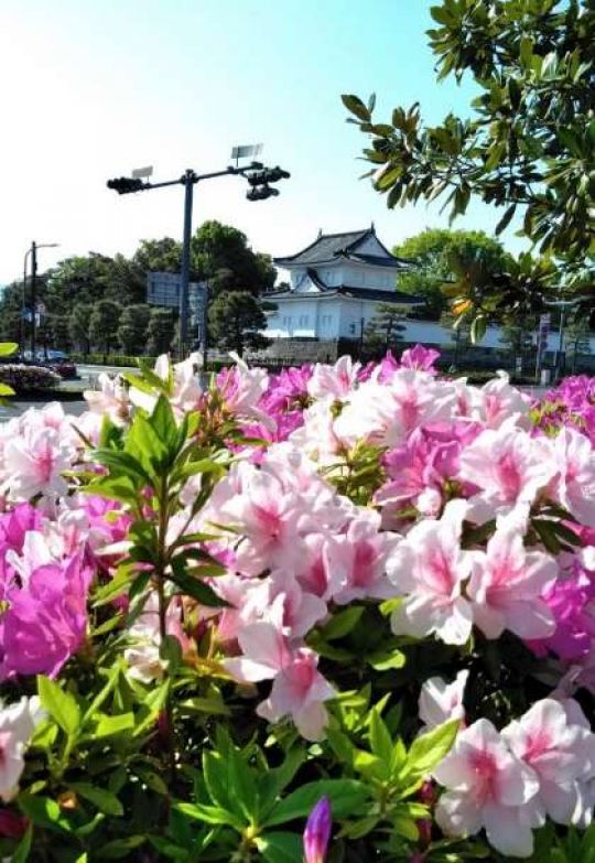 京都堀川音楽高等学校