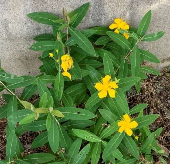 銅駝美術工芸高等学校