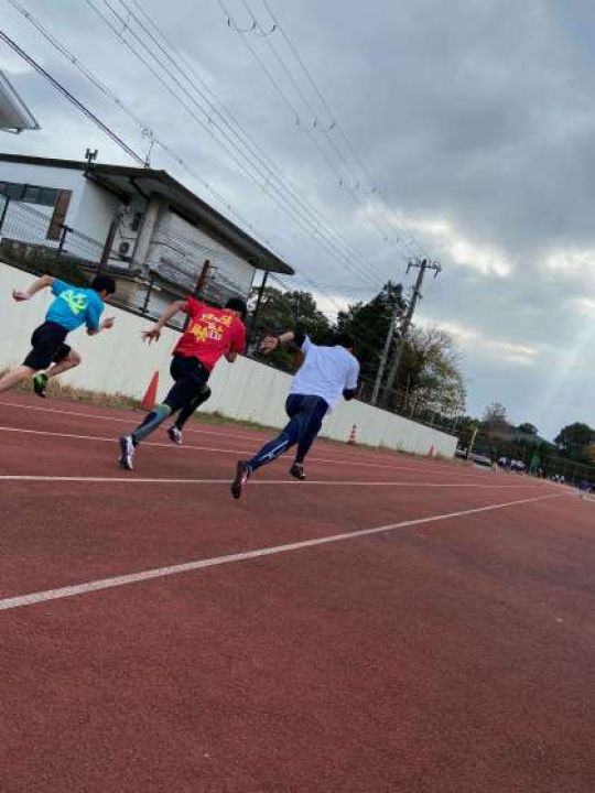 紫野高等学校