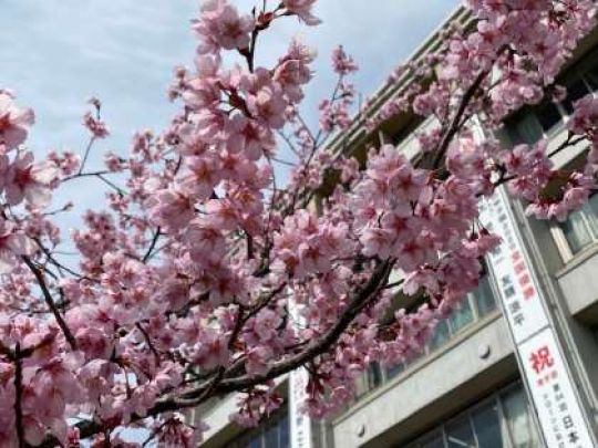 西京高等学校