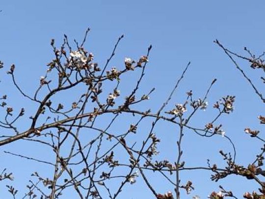 銅駝美術工芸高等学校