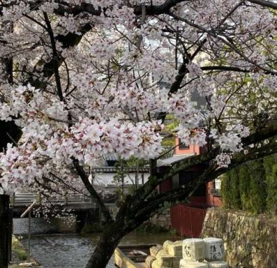 銅駝美術工芸高等学校