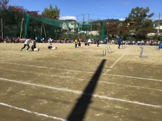 紫野高等学校