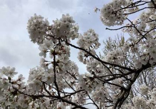 銅駝美術工芸高等学校