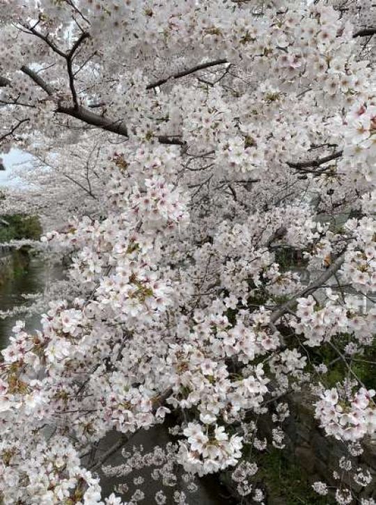 銅駝美術工芸高等学校