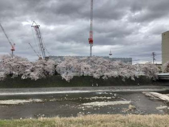 銅駝美術工芸高等学校