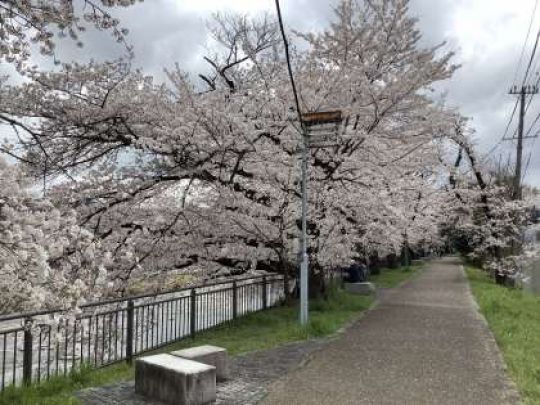 銅駝美術工芸高等学校