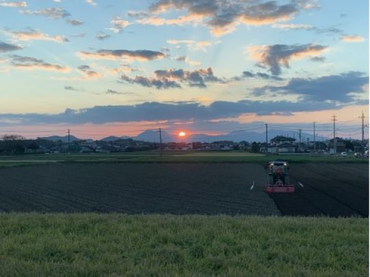 紫野高等学校