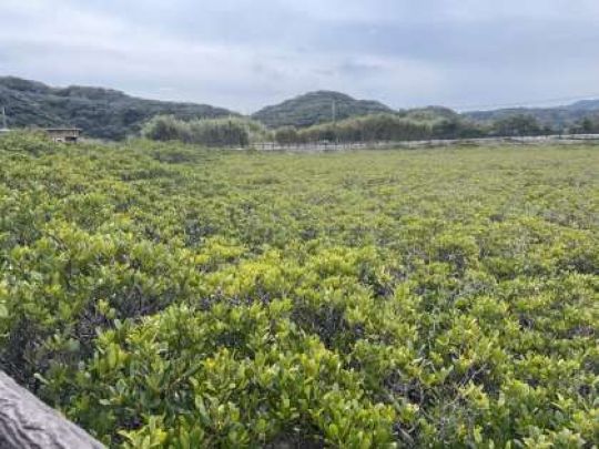 堀川高等学校