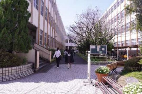 開建高等学校