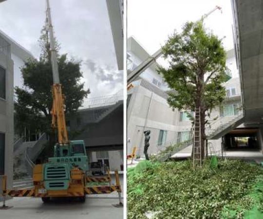 京都市立美術工芸高等学校