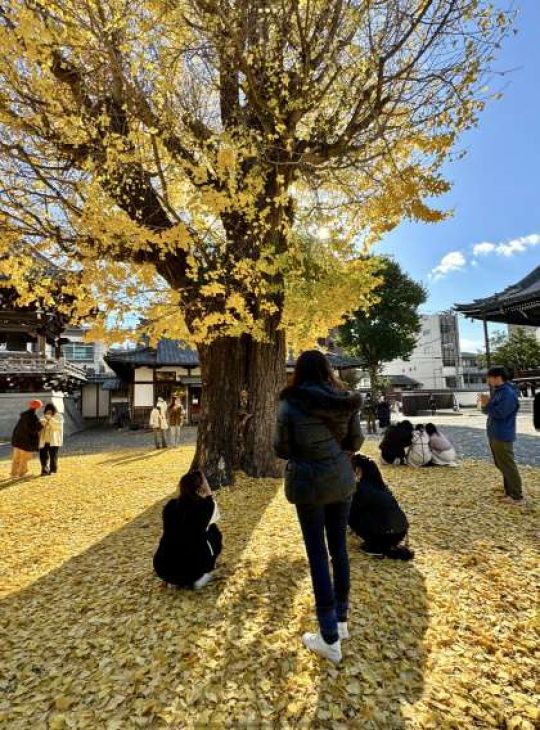 京都市立美術工芸高等学校