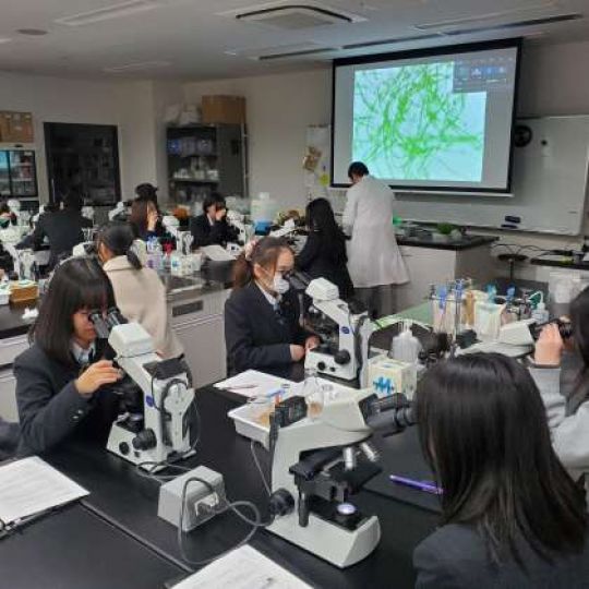 開建高等学校