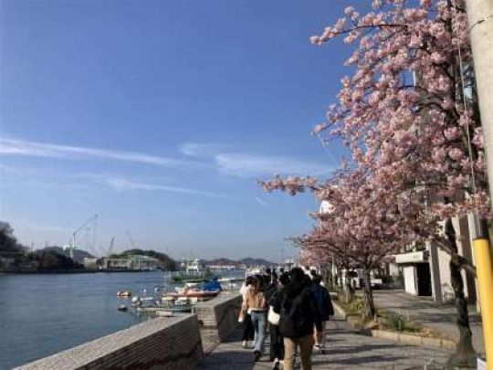 開建高等学校