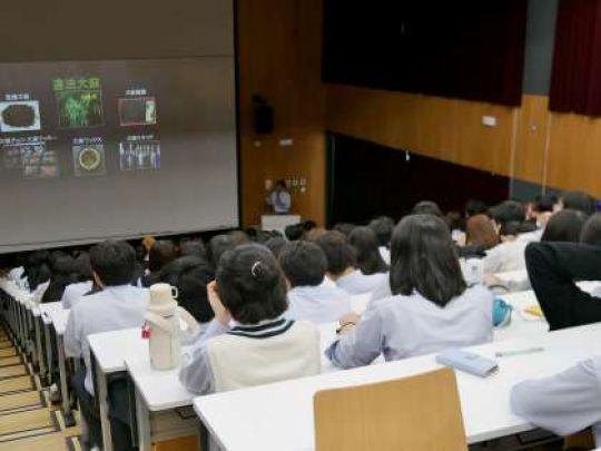 開建高等学校