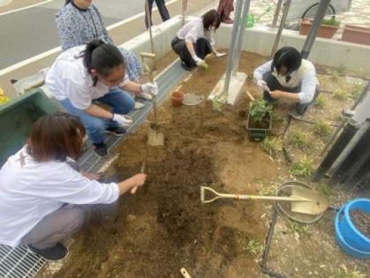 開建高等学校