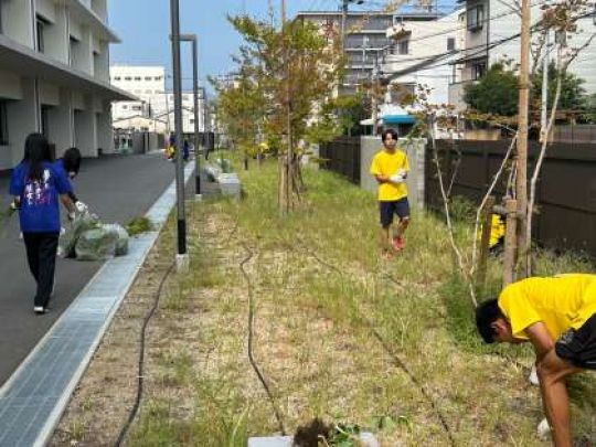 開建高等学校