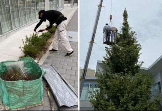 京都市立美術工芸高等学校