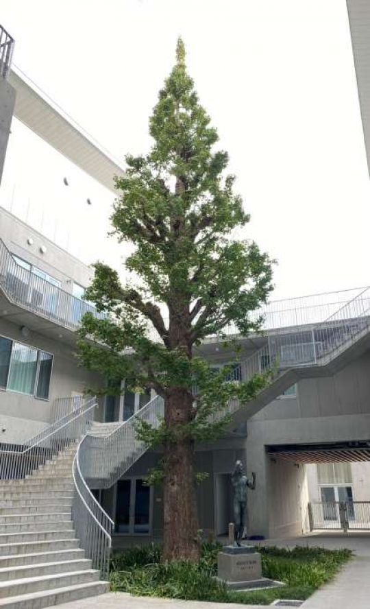 京都市立美術工芸高等学校