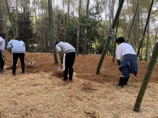 紫野高等学校