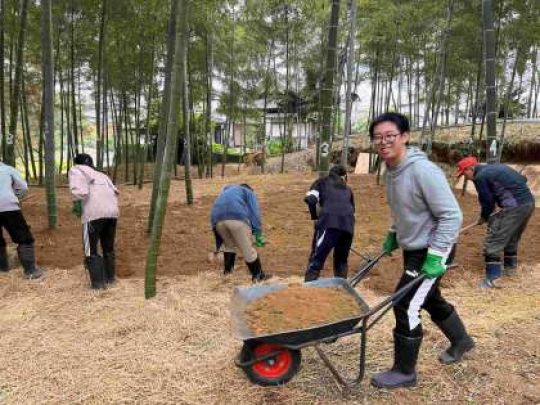 紫野高等学校