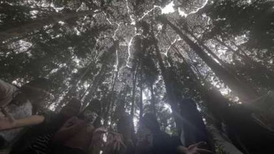 紫野高等学校