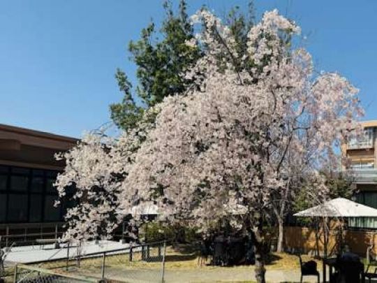 日吉ケ丘高等学校