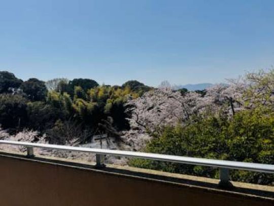 日吉ケ丘高等学校