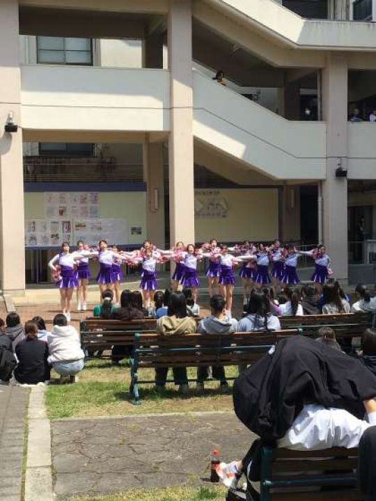 紫野高等学校