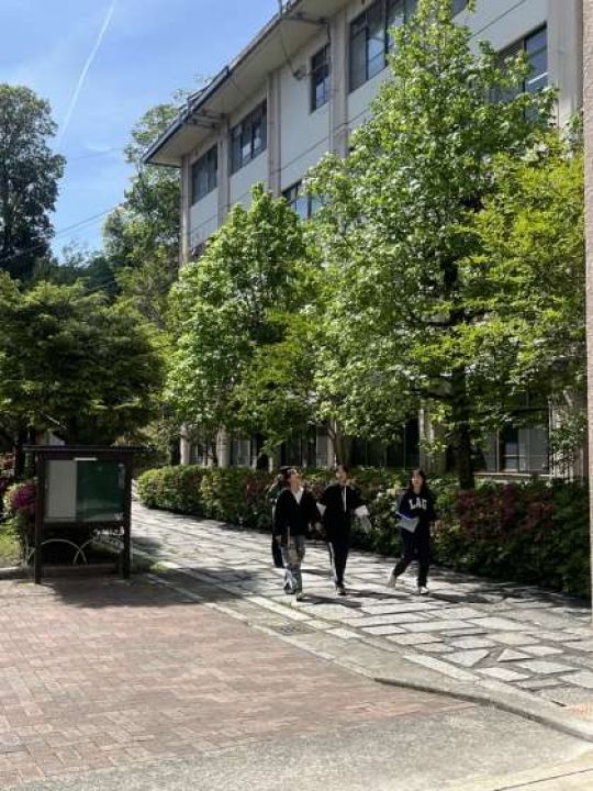 紫野高等学校