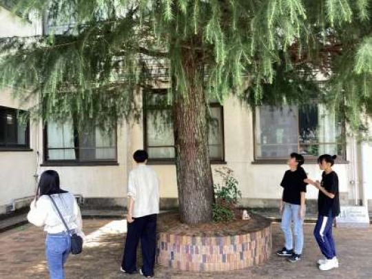 紫野高等学校