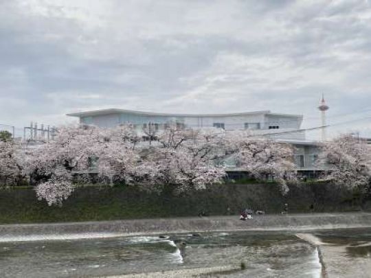 京都市立美術工芸高等学校