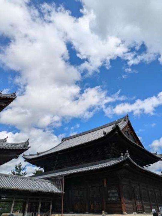 紫野高等学校