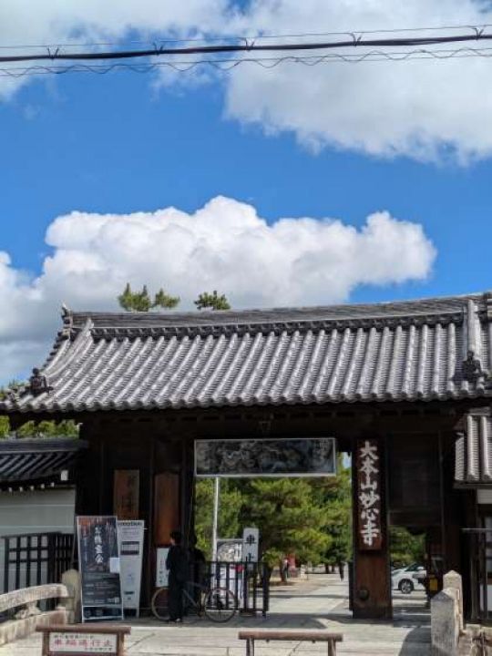 紫野高等学校