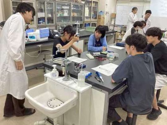 紫野高等学校