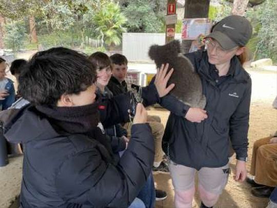 紫野高等学校