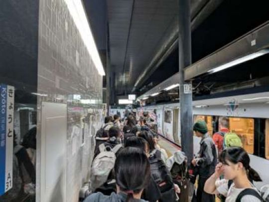 紫野高等学校