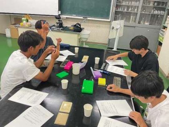 紫野高等学校