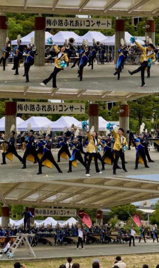 開建高等学校